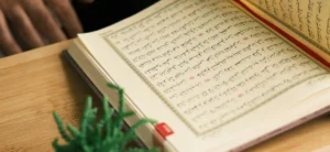 What You’ll Actually Learn When You Study Quran at Home